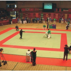 STAG Judo Mat International JSR Slip Resistant Bottom 2M X 1M X 50mm